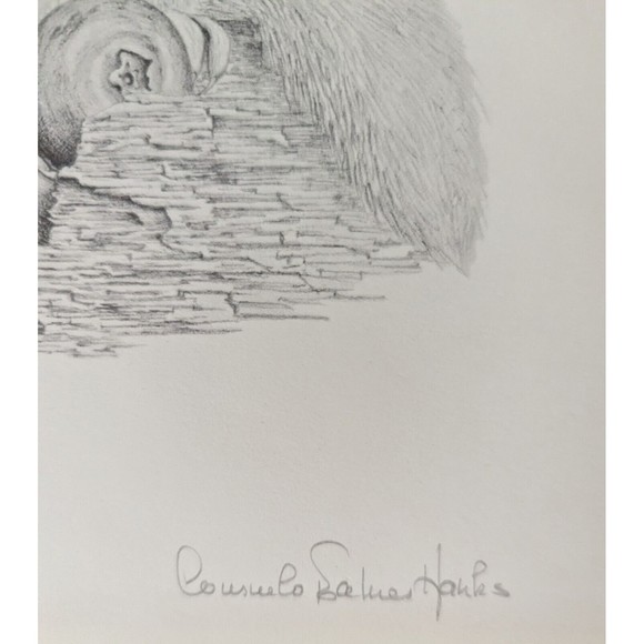 Chipmunk art print Signed 187/850 - Picture 2 of 4